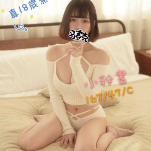 小秘書